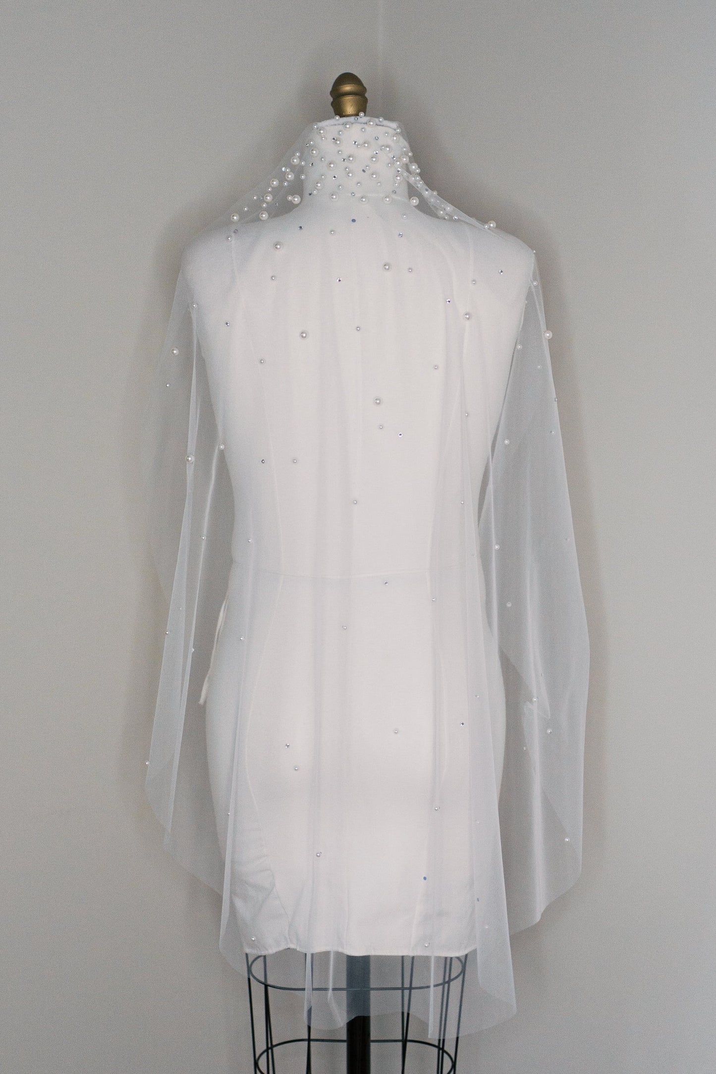 Daisy Cascading Pearl & Rhinestone Veil with Comb