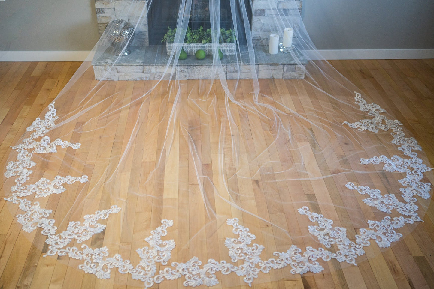 Ronan Cathedral Length Lace Veil with Comb
