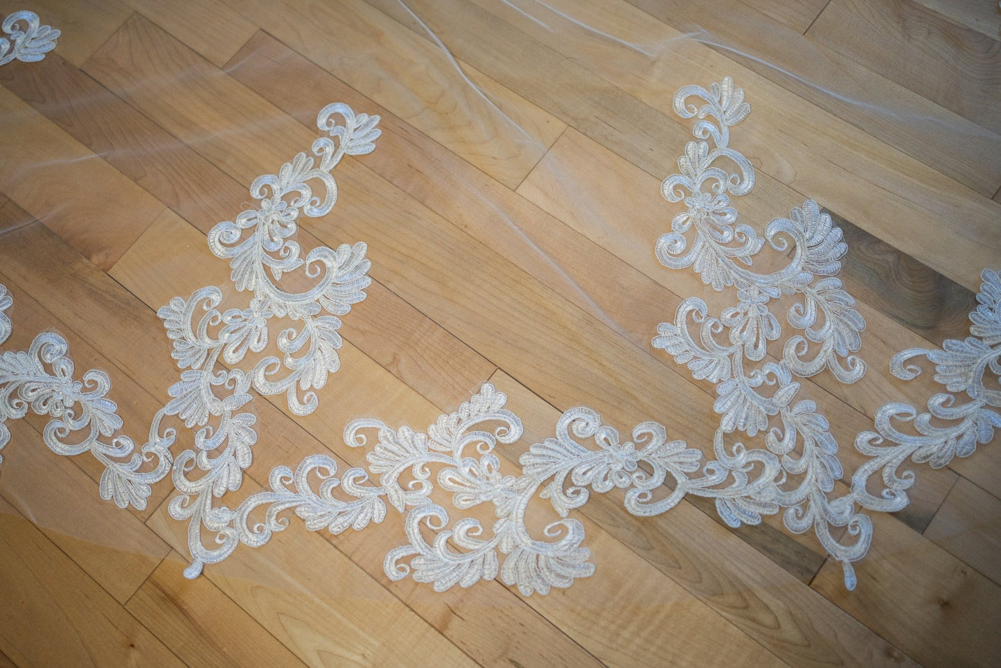 Ronan Cathedral Length Lace Veil with Comb