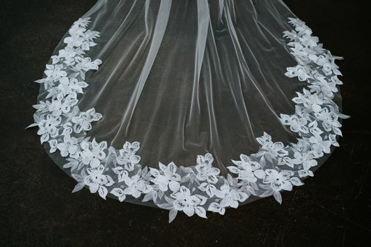 Renata Cathedral Length Lace Edge Veil with Comb
