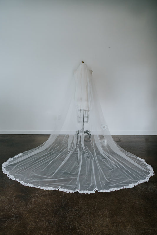 Antonia Cathedral Length Lace Edge Veil with Comb