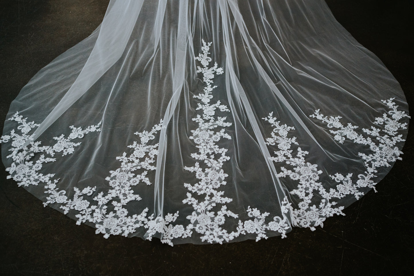 Astrid Cathedral Length Lace Veil with Comb