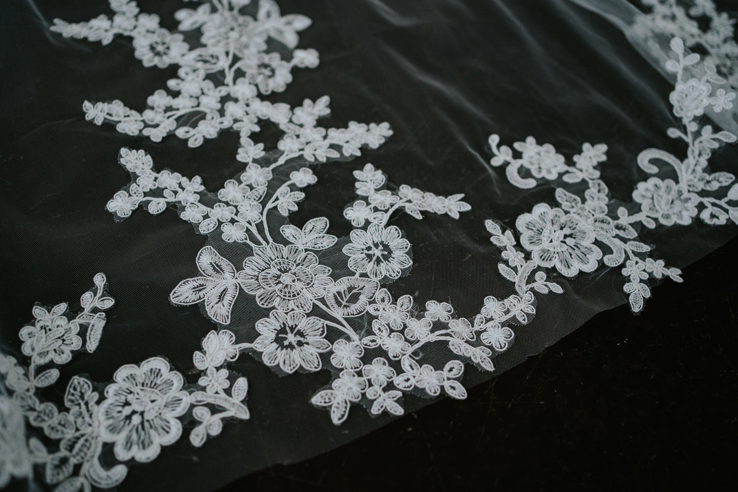 Astrid Cathedral Length Lace Veil with Comb