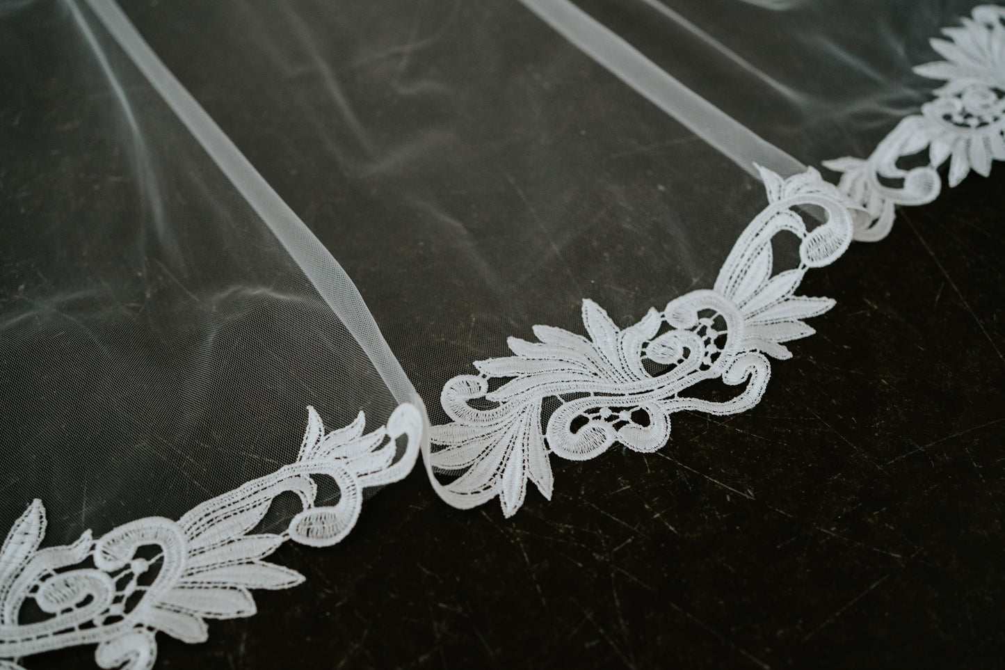 Antonia Cathedral Length Lace Edge Veil with Comb