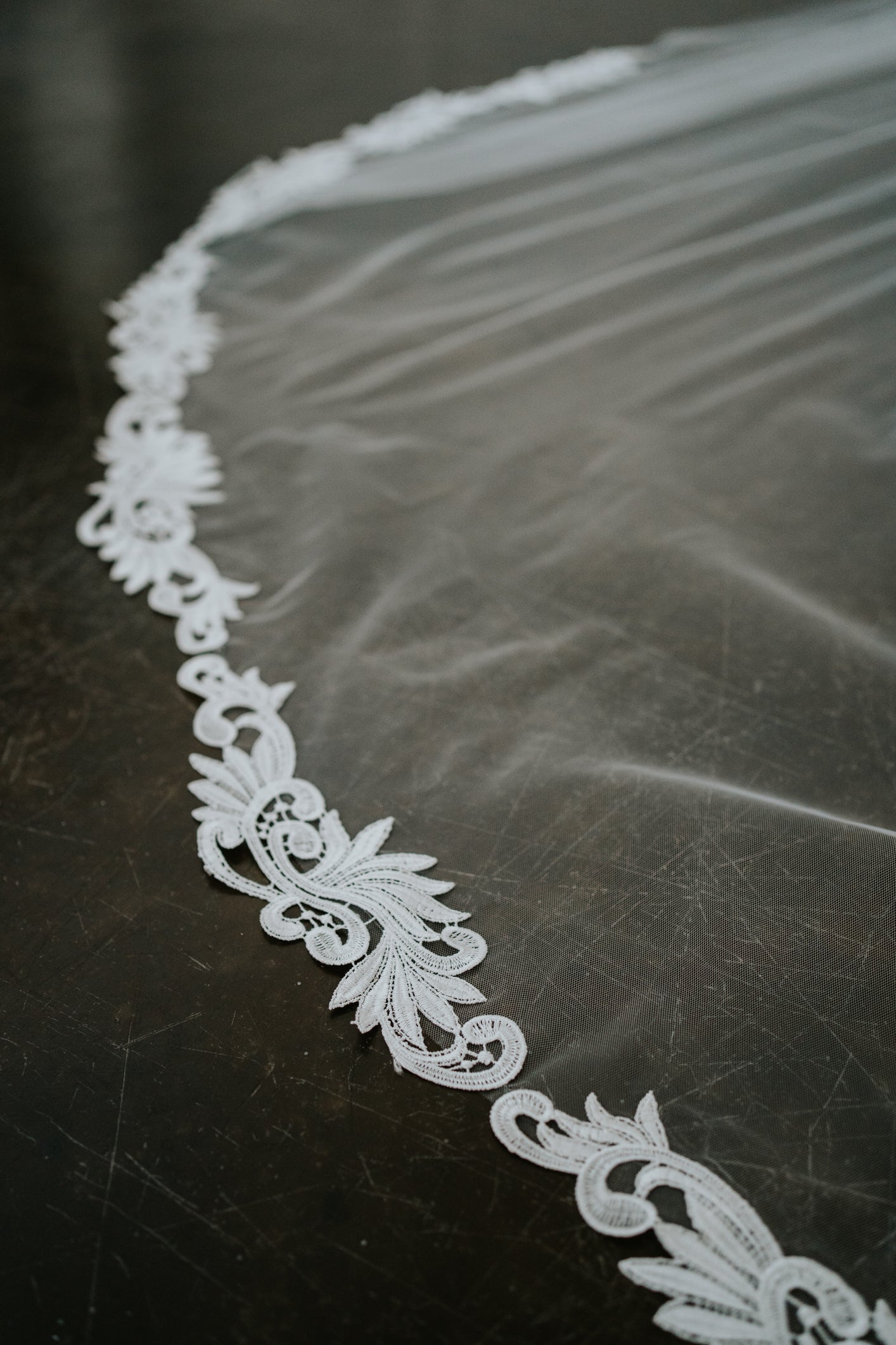 Antonia Cathedral Length Lace Edge Veil with Comb