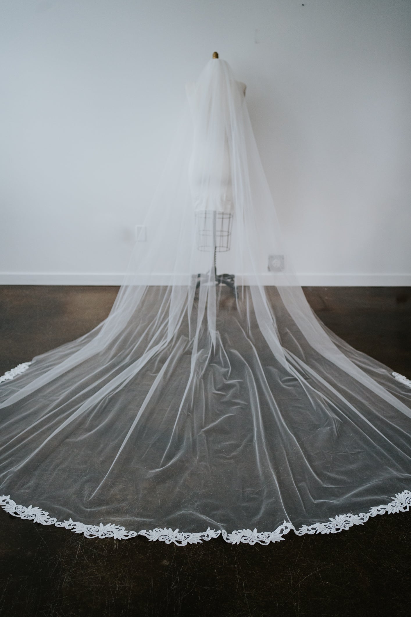 Antonia Cathedral Length Lace Edge Veil with Comb