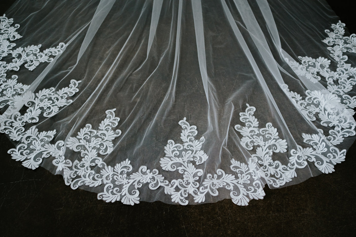 Ronan Cathedral Length Lace Veil with Comb