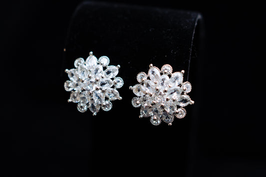 Delphine Stud Earrings