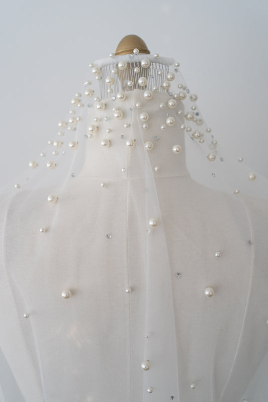 Cascading Pearl & Rhinestone Veil with Comb
