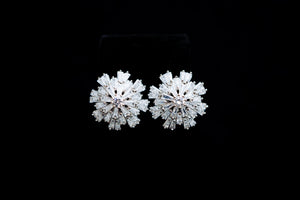 Earrings 17