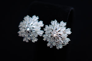 Earrings 17
