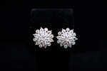 Earrings 16