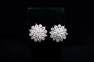 Earrings 16