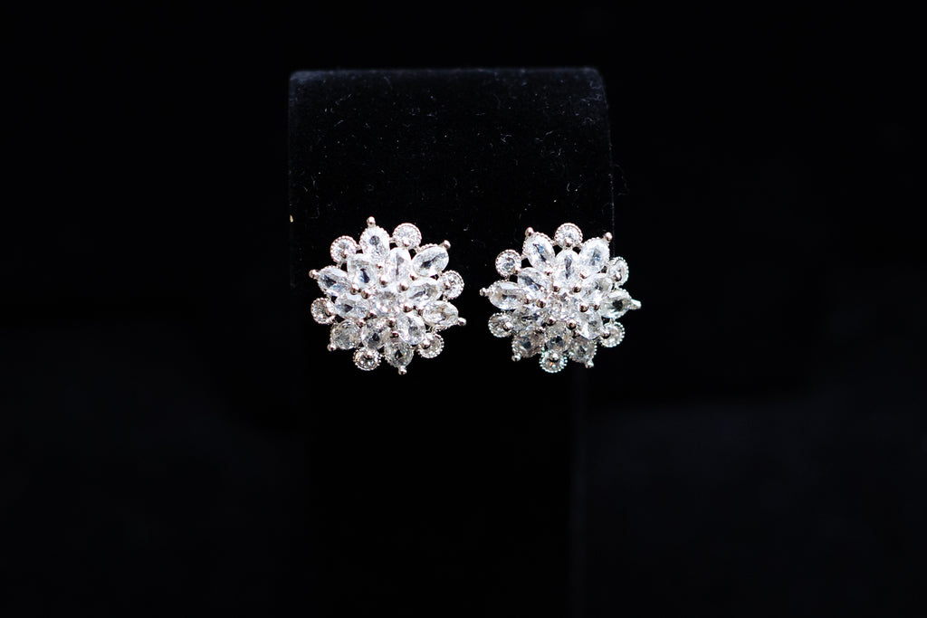 Earrings 16