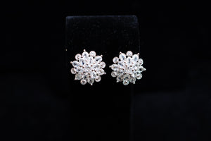 Earrings 16