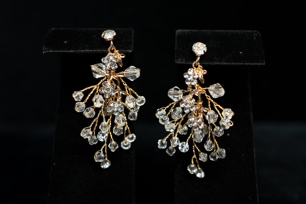 Earrings 12