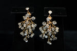 Earrings 12