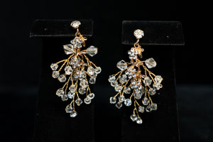 Earrings 12