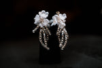 Earrings 13